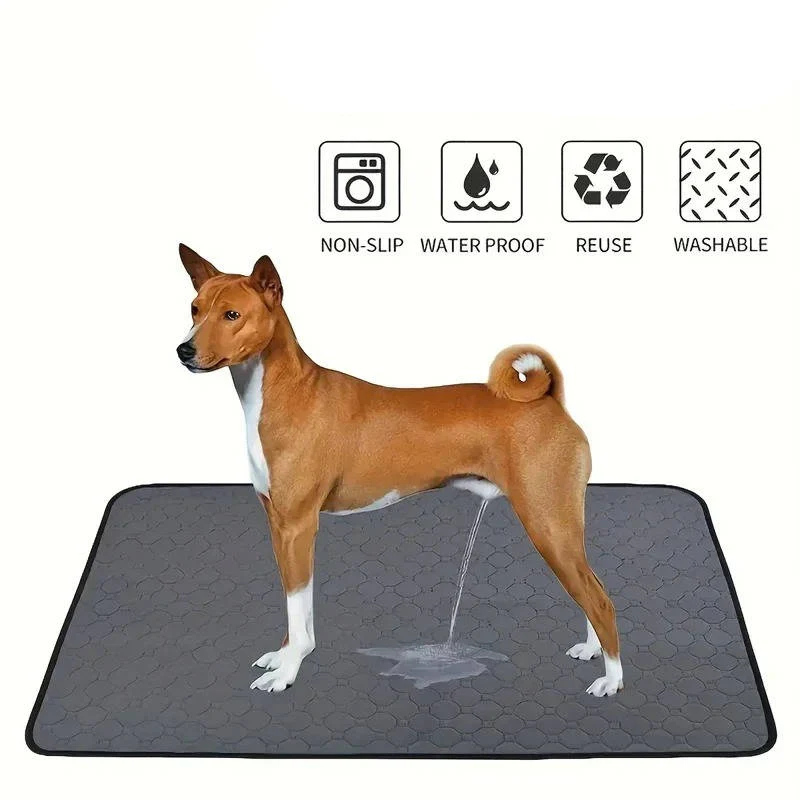Dog Pee Pads Disposable And Reusable - Image 2