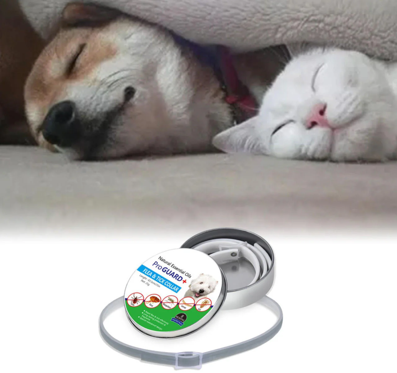 Dog Pest Collar - Image 3