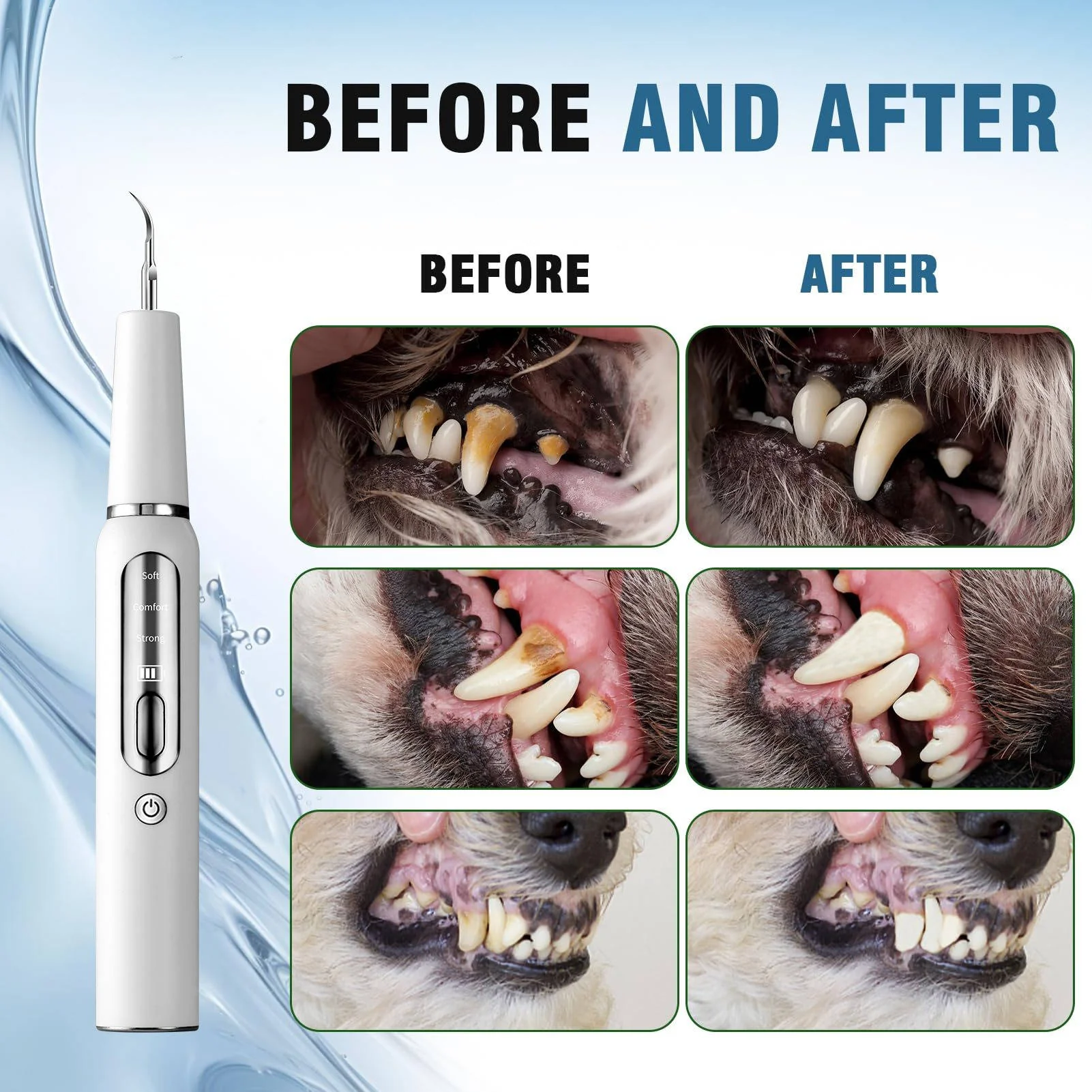 Dog Plaque Tartar Calculus Remover at Home - Image 3