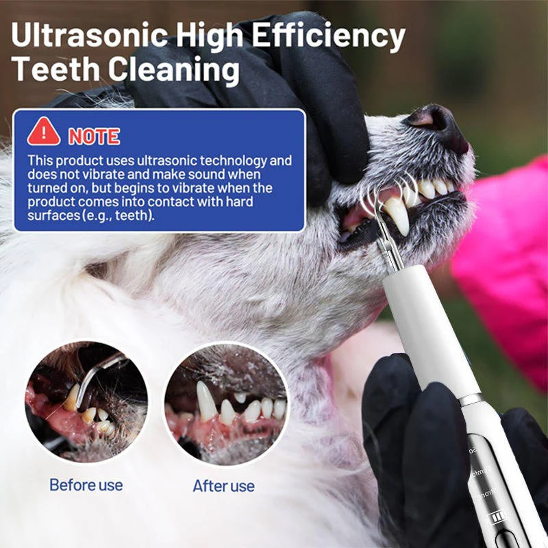 Dog Plaque Tartar Calculus Remover at Home - Image 4