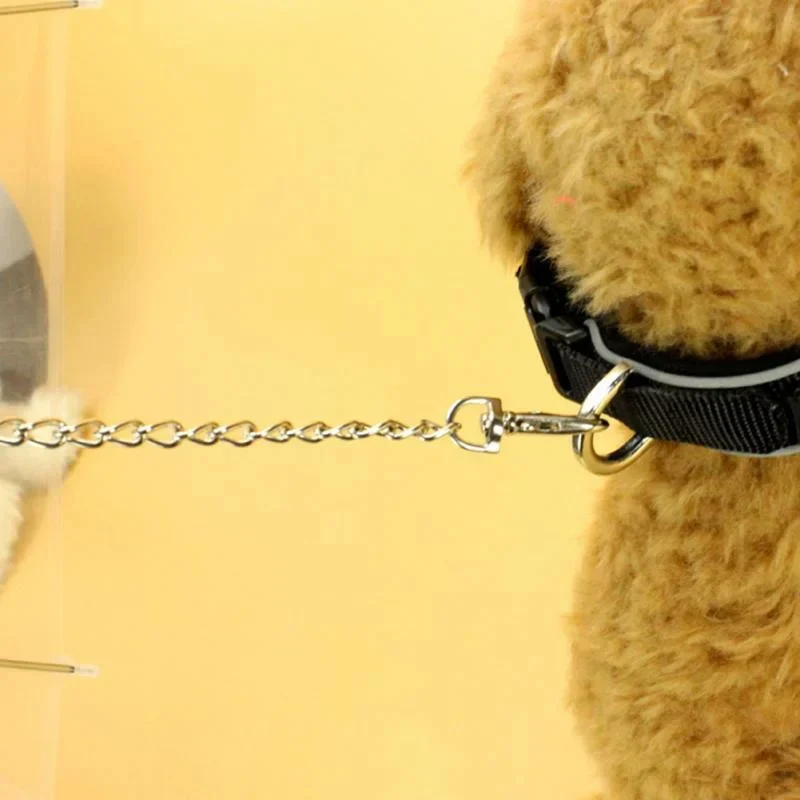 Dog Umbrella with Leash - Image 3