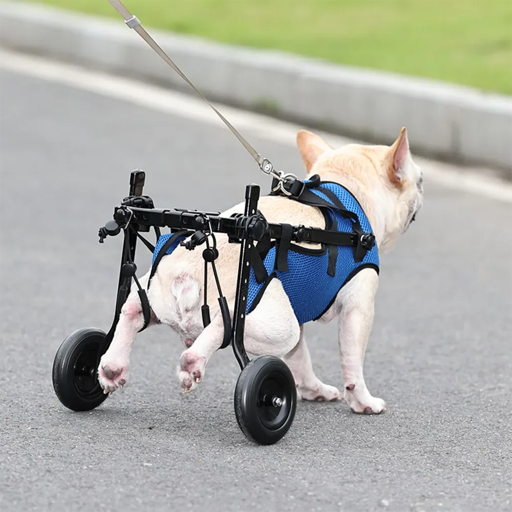 Dog Wheelchair Disability Dog Hind Legs Bracket Cat Dog Injured And Weak Rehabilitation Aid Car Adjustable Pet Walk Booster - Image 3