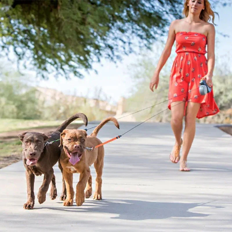 Dual Dog Leash with Flashlight & Waste Bag - Image 8