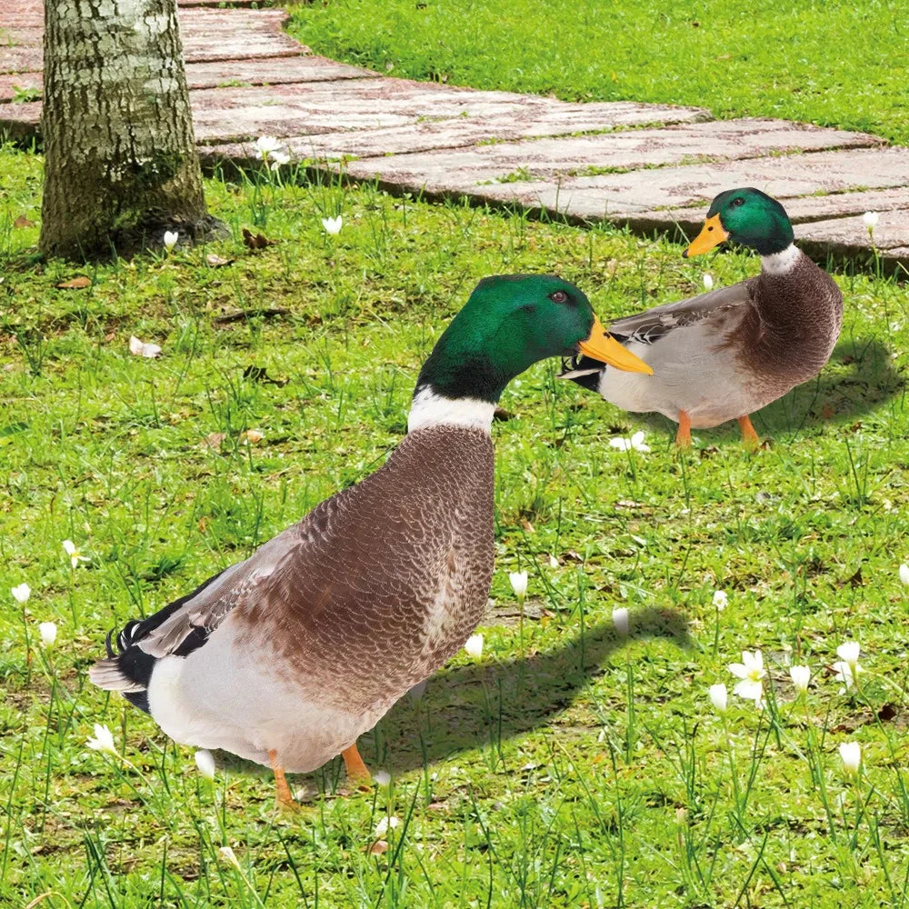 Outdoor Duck Decoration - Image 2