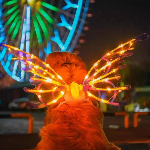 Electric Colorful Kids / Adults LED Fairy Wings Costume - Image 6