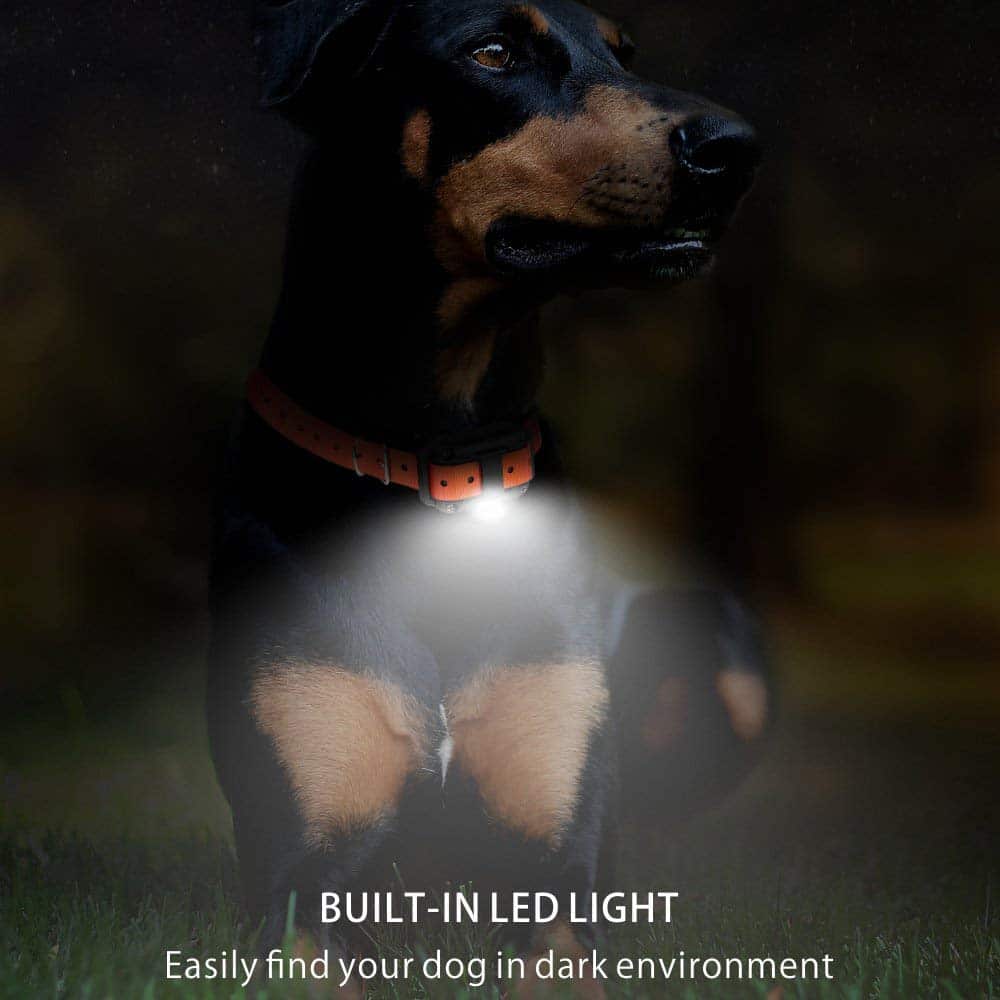 Electric dog training collar 800M Range - Image 6