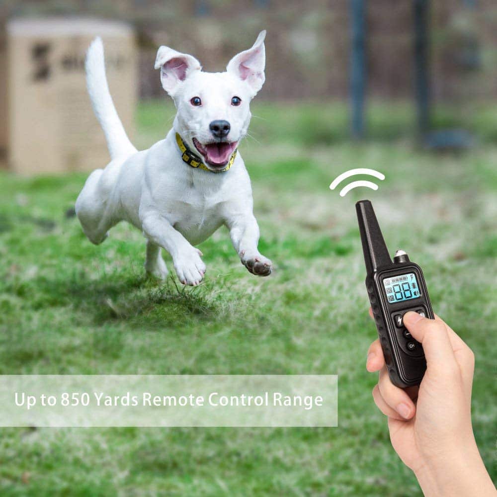 Electric dog training collar 800M Range - Image 7