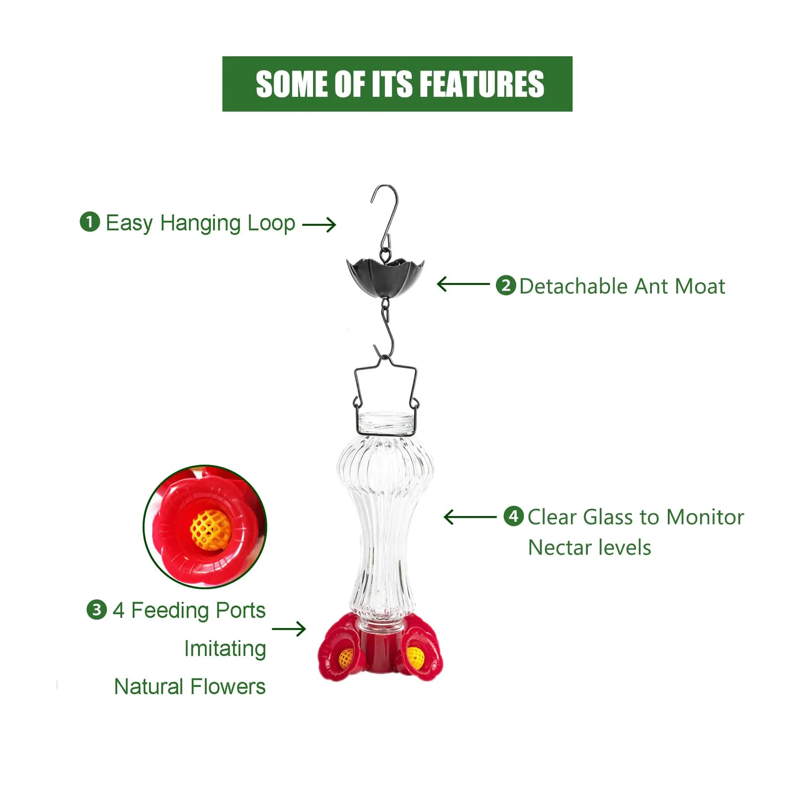 Flowers Glass Hummingbird Feeder With Ant Moat - Image 4