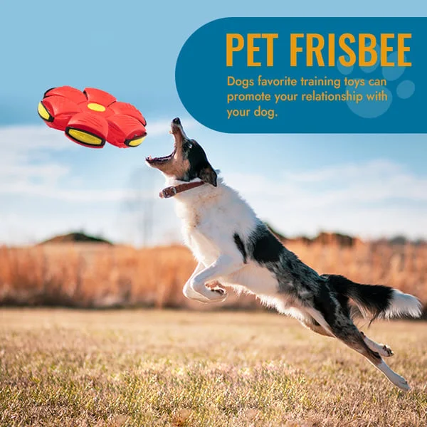 Flying Saucer Ball Dog Toy - Image 11