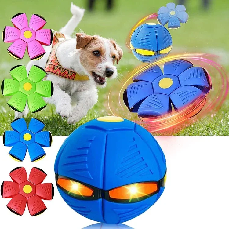 Flying Saucer Ball Dog Toy - Image 2
