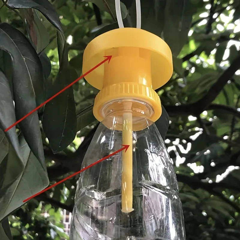 Fruit Fly Trap with Hanging Cover - Image 2