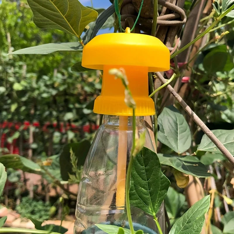 Fruit Fly Trap with Hanging Cover - Image 3