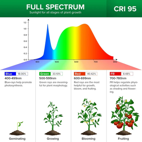 Full Spectrum Gooseneck LED Indoor Greenhouse Plant Grow Lamp Lights - Image 6
