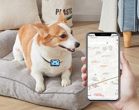 GPS Tracker for Dogs | Location Collar - Image 6
