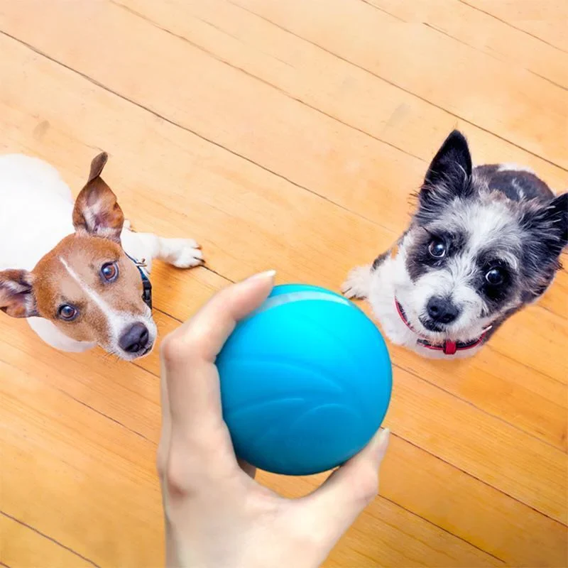 Magic Ball Pet Motion Toy - Image 5