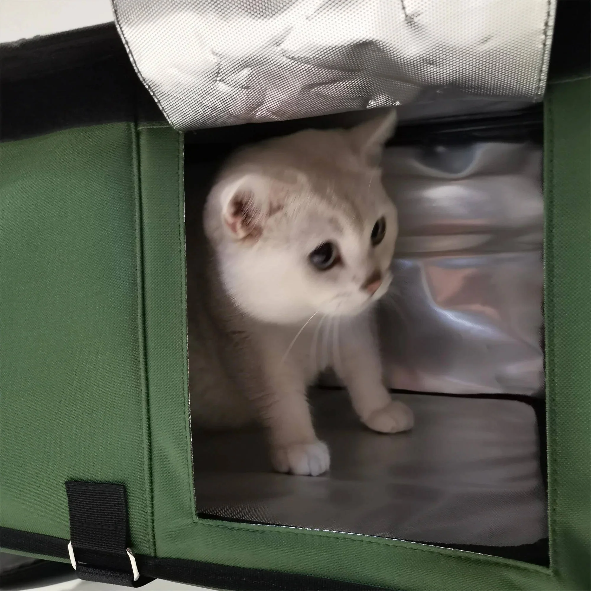 Heated Outdoor Cat House for Winter - Image 3