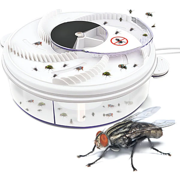 Highly Effective Fly Trap - Image 4