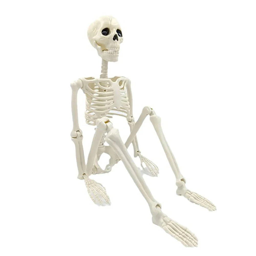 Human Skeleton Halloween Decorations Outdoor - Image 3