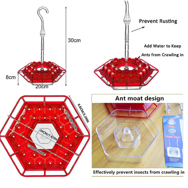 Hummingbird Feeder With Built-In Ant Moat - Image 5