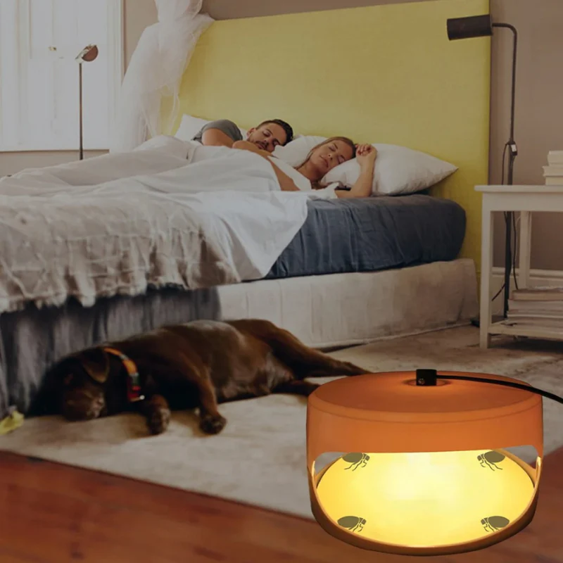 Indoor Bed Bug Trap - Image 2