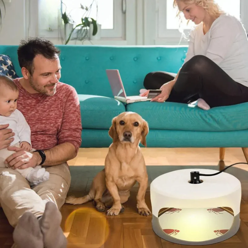 Indoor Bed Bug Trap - Image 4