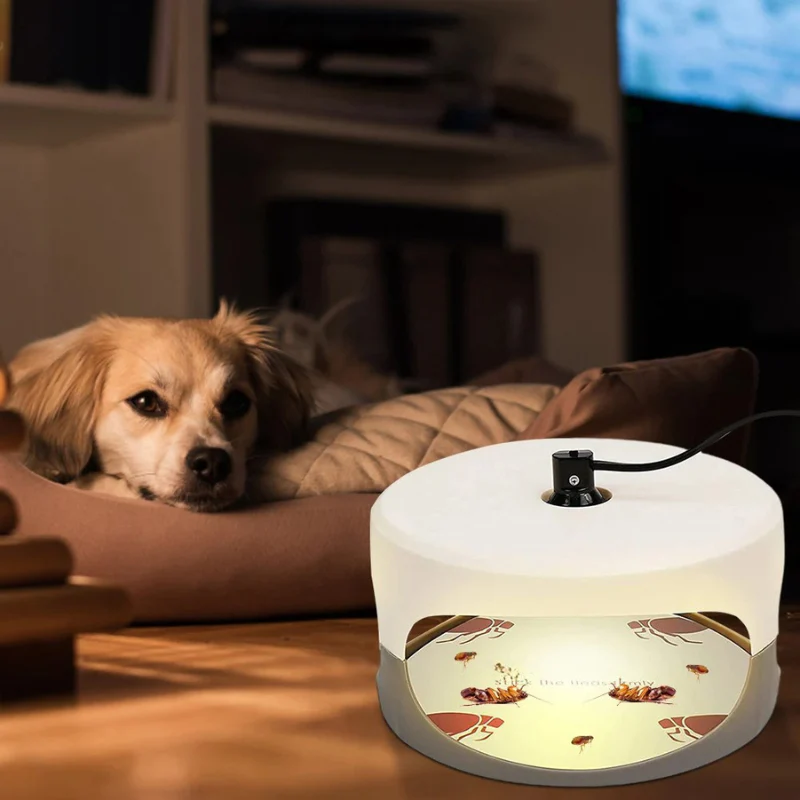 Indoor Bed Bug Trap - Image 5