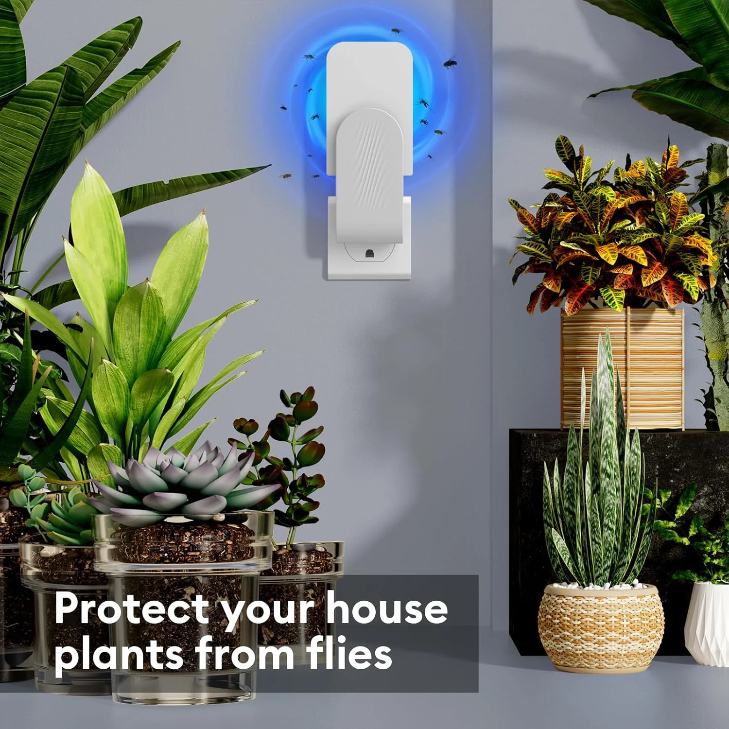 Indoor Fly Trap - Image 3