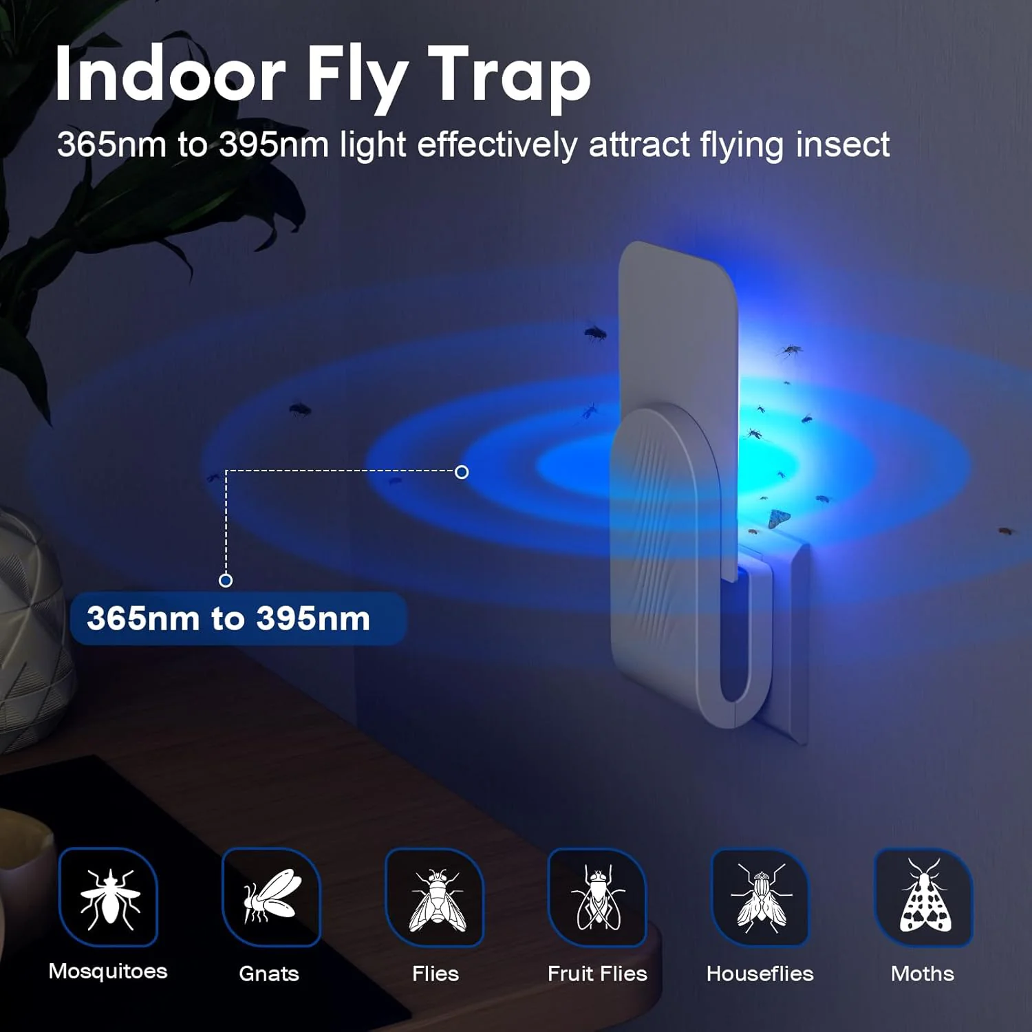 Indoor Fly Trap - Image 5