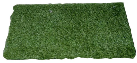 Indoor Grass - Image 3
