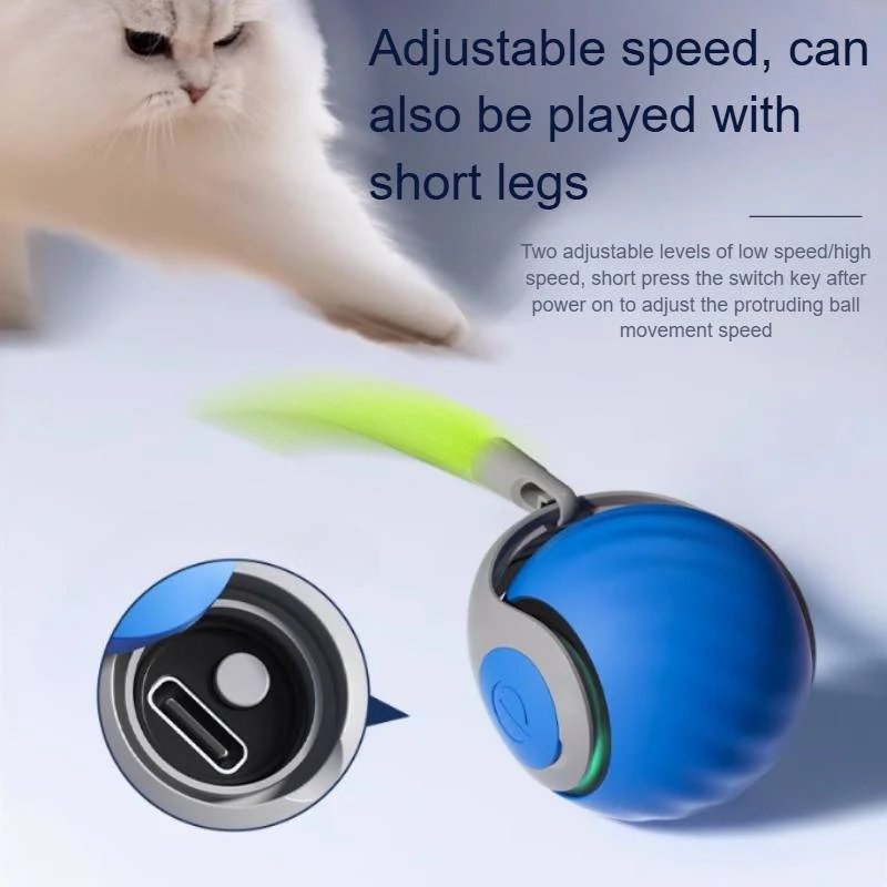 Interactive Cat Toys For Indoor Cats - Image 2