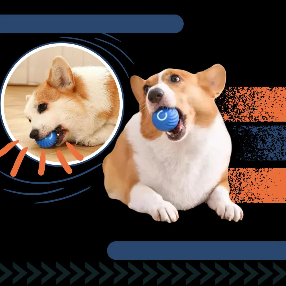 Interactive Obstacle-Avoiding Dog Ball - Image 5