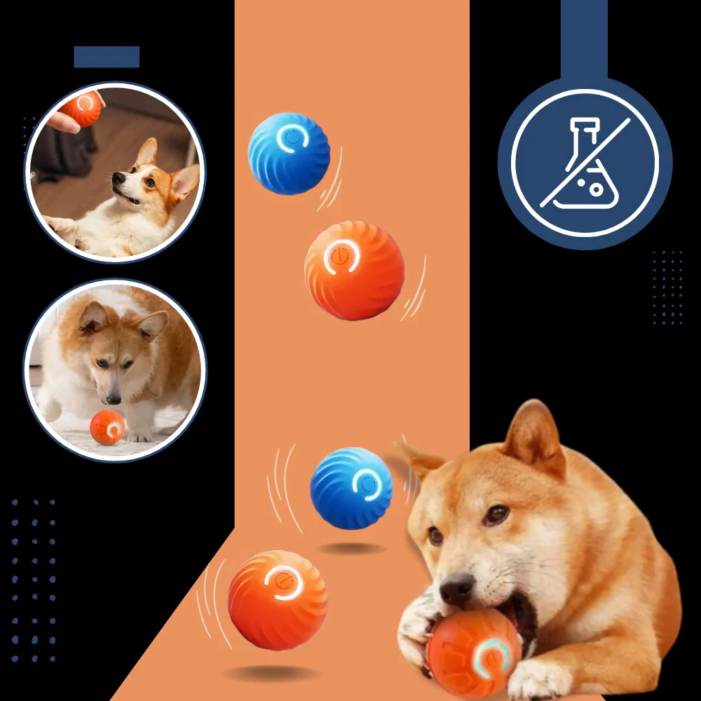Interactive Obstacle-Avoiding Dog Ball - Image 6