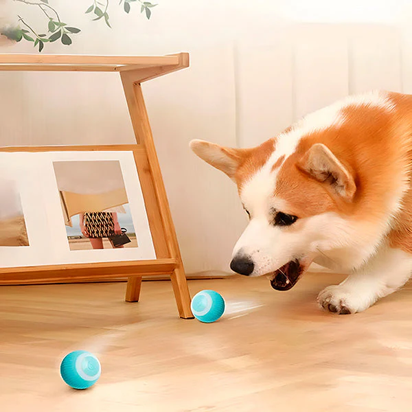 Interactive Pet Ball, Rolls Automatically - Image 3