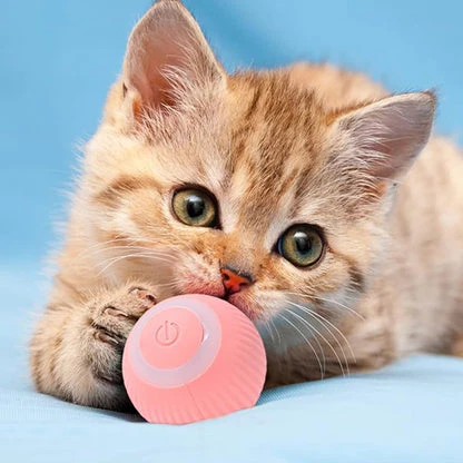Interactive play ball for cats - Image 4