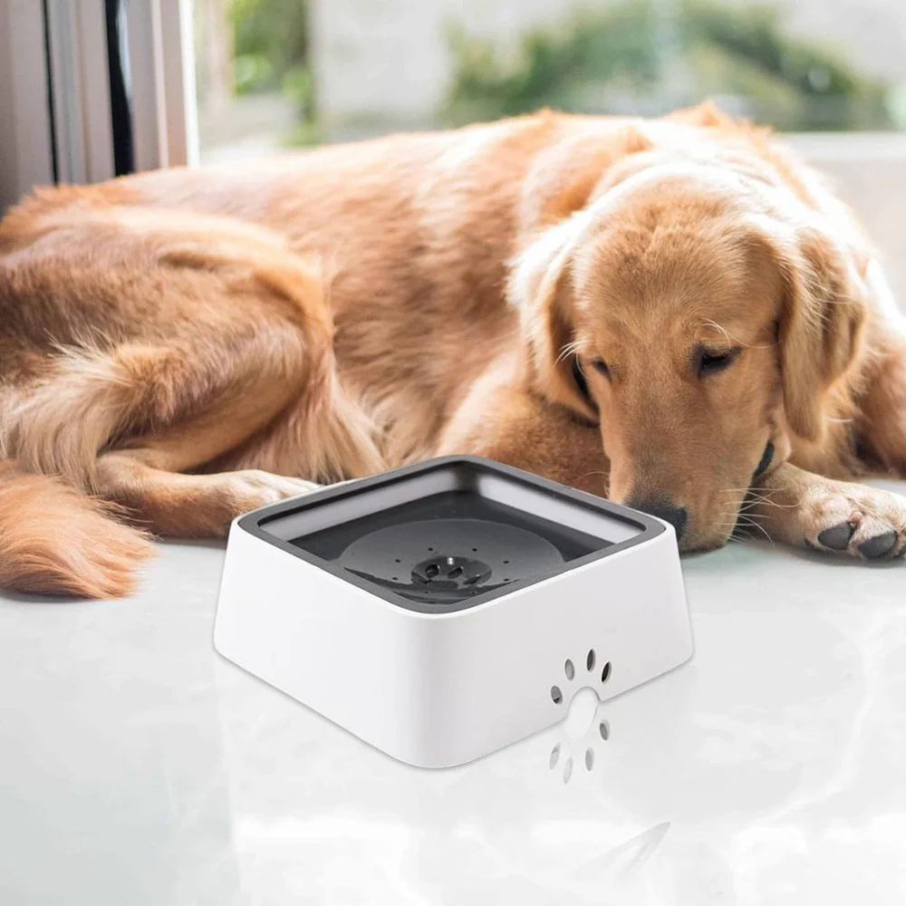 Large Capacity Anti-Overflow Dog Drinking Water Bowl - Image 2