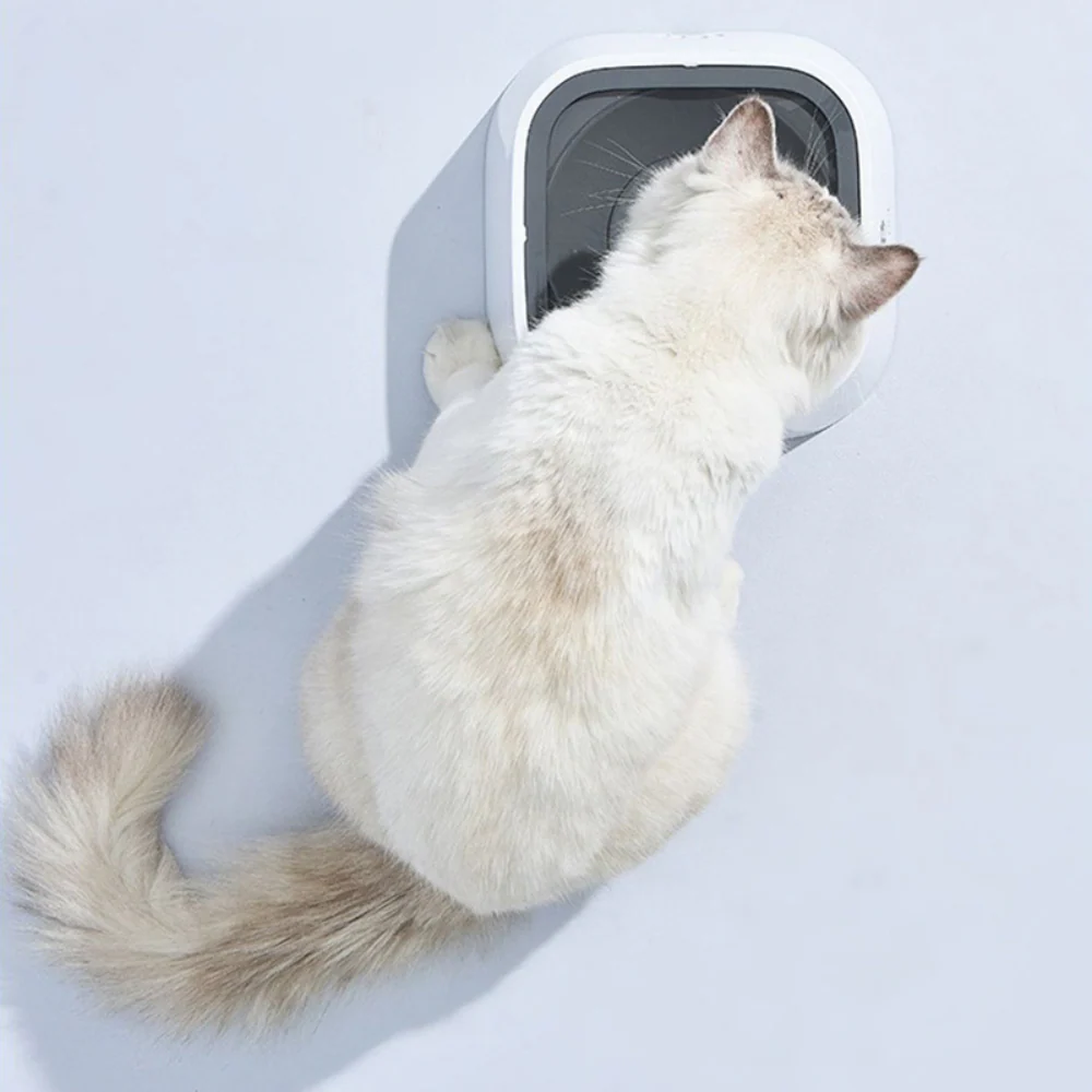 Large Capacity Anti-Overflow Dog Drinking Water Bowl - Image 7