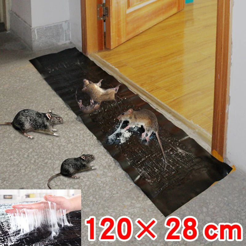Large, non-toxic trap for effective pest control - Image 6