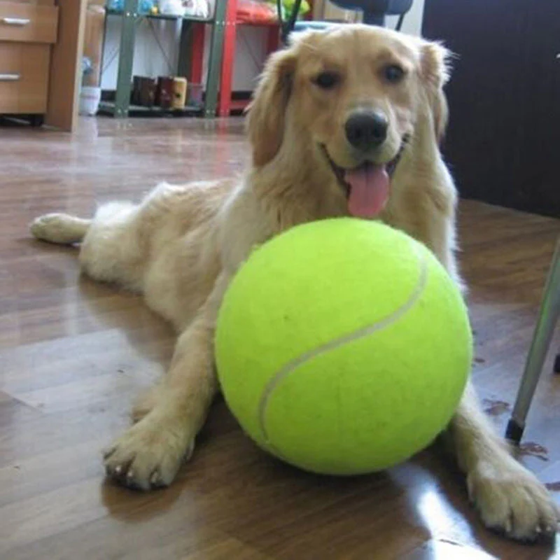 Large tennis ball for your dog โ XXL โ 24 cm diameter