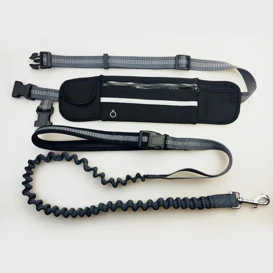 Leash with waist belt for dogs - Image 2