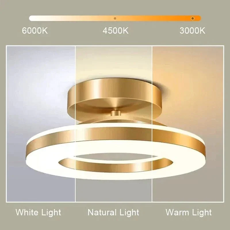 LED Ceiling Light Fixture - Image 3