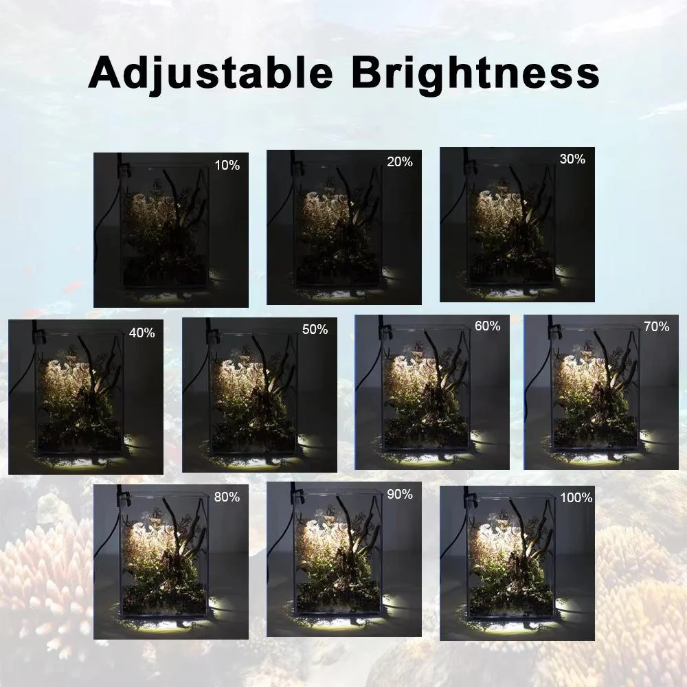 LED Light for Fish Tank - Image 7