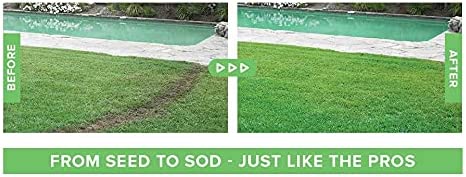 Liquid Lawn Seed Spray - HouseHold Seeding System Liquid Lawn Seed - Image 3