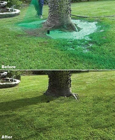 Liquid Lawn Seed Spray - HouseHold Seeding System Liquid Lawn Seed - Image 4