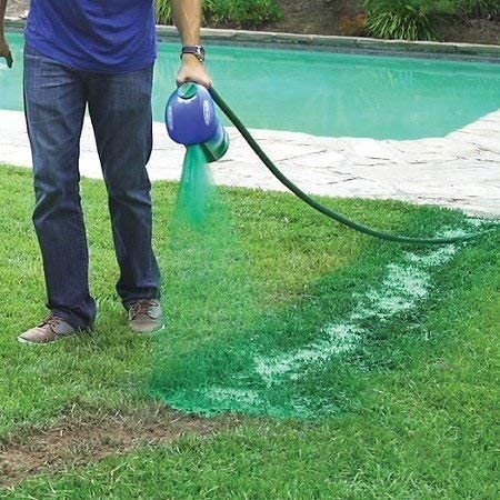 Liquid Lawn Seed Spray - HouseHold Seeding System Liquid Lawn Seed - Image 5