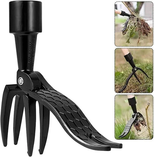 Mechanical Weeder - Image 4