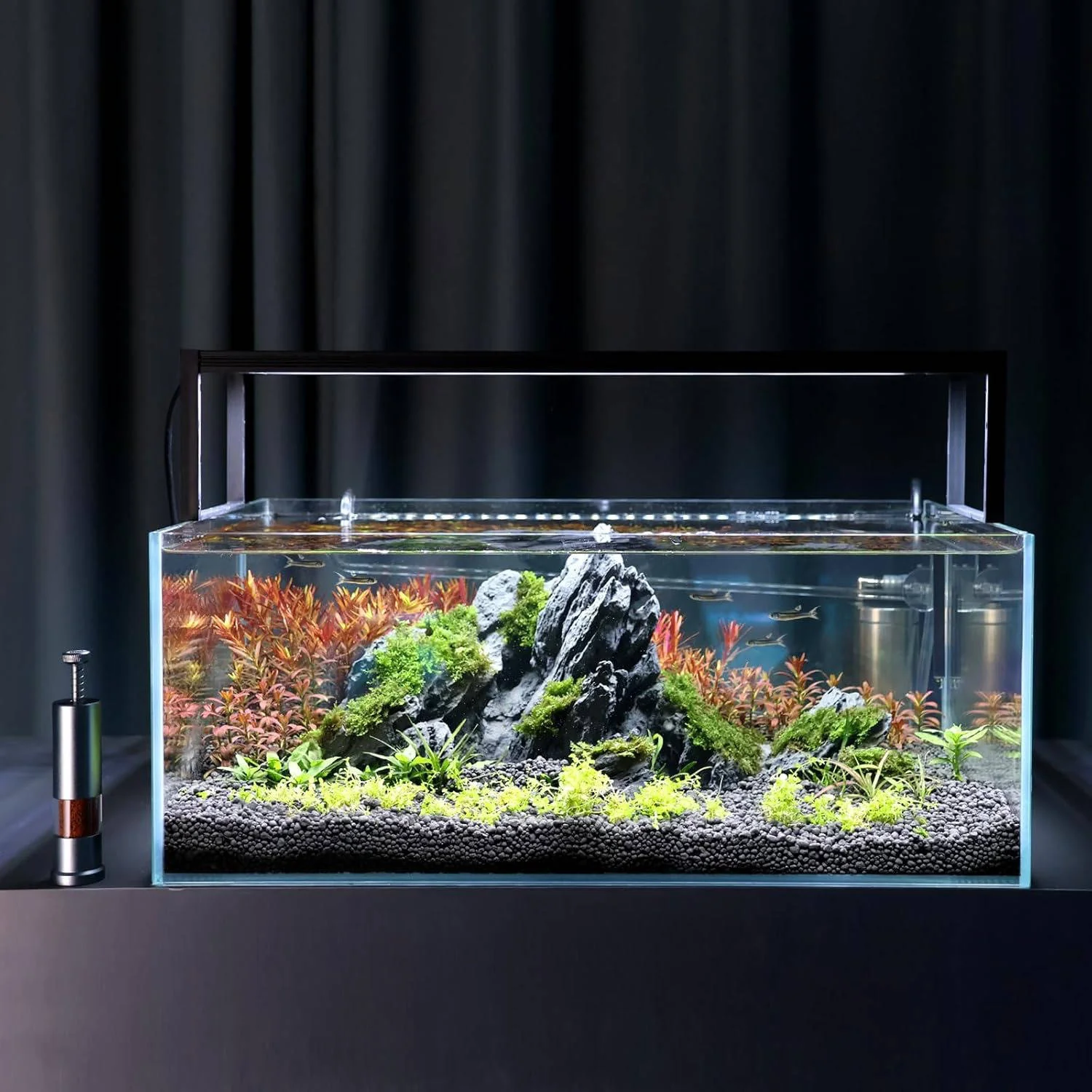 Mini Fish Feeder Aquarium - Image 3
