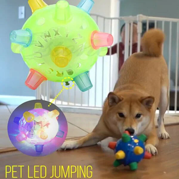 New Jumping Activation Ball For Dogs - Image 5