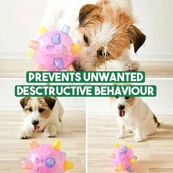 New Jumping Activation Ball For Dogs - Image 6
