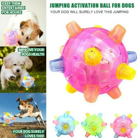 New Jumping Activation Ball For Dogs - Image 7