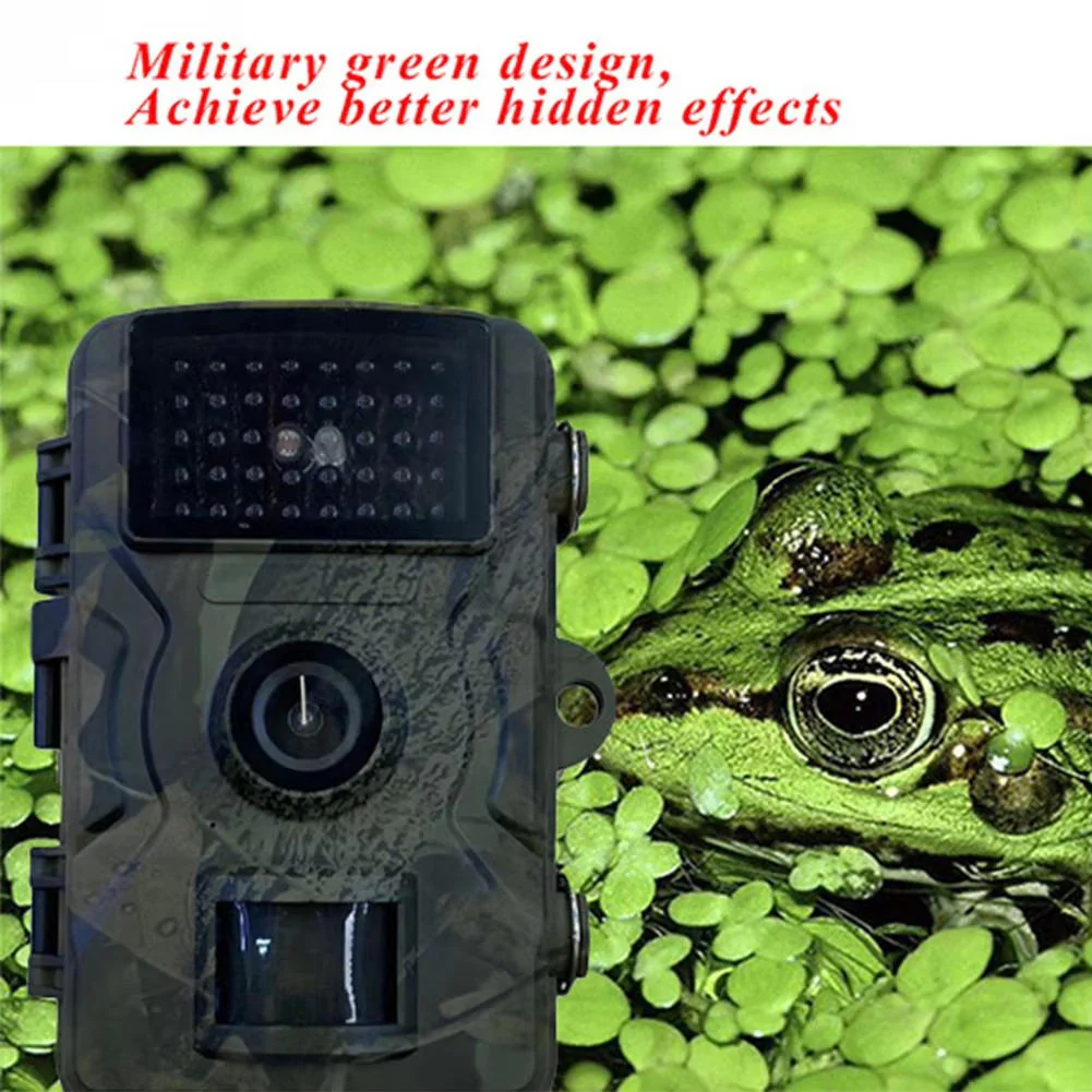 Night Vision Outdoor Wildlife Animal Camera - Image 12